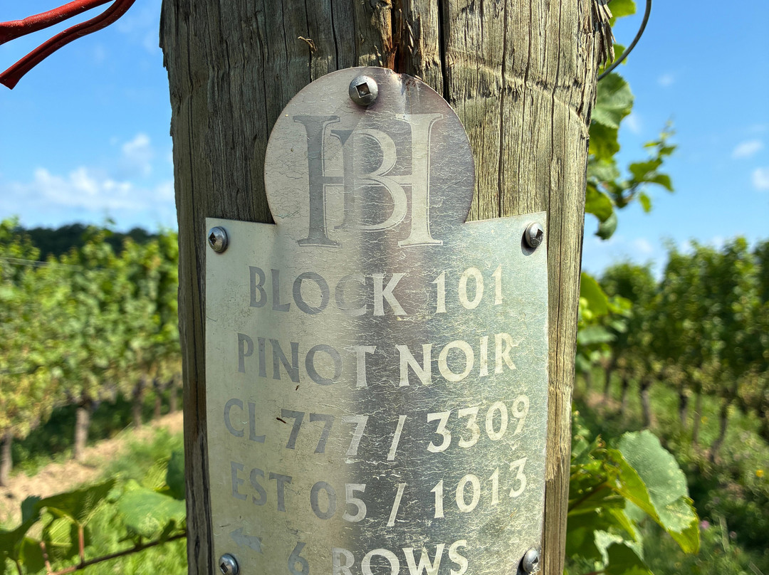 Hidden Bench Vineyards & Winery-Beamsville必去景点