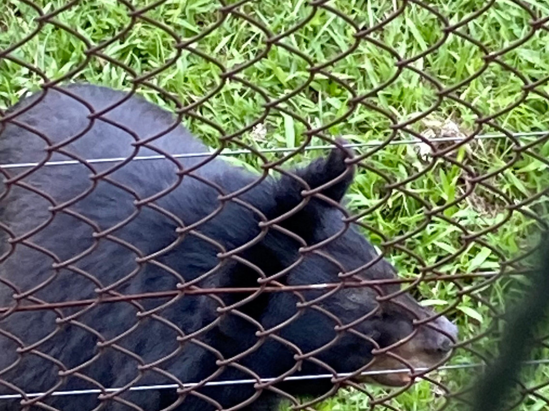 Bear Sanctuary Ninh Binh-宁平必去景点