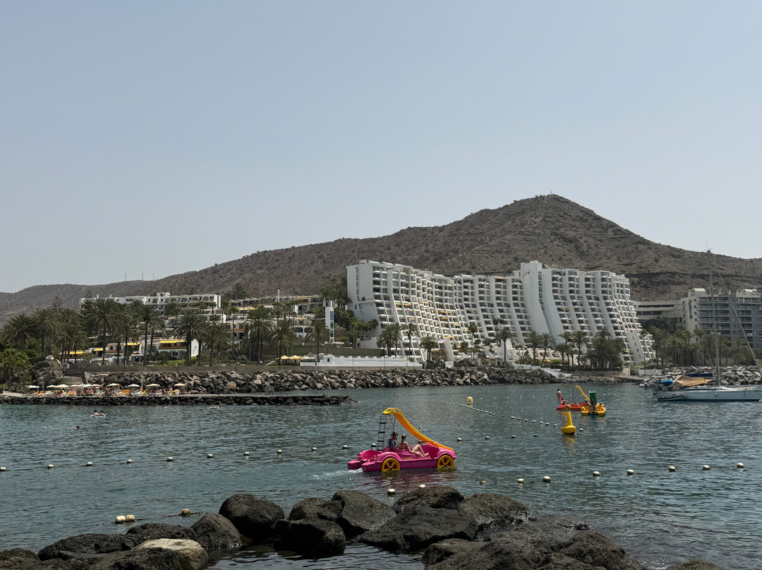 Playa Anfi del Mar-Barranco de la Verga必去景点