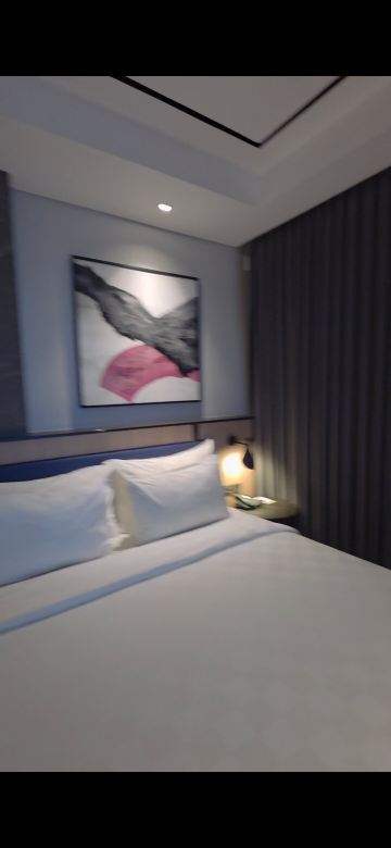 马朗瑞士北林酒店-旅行者