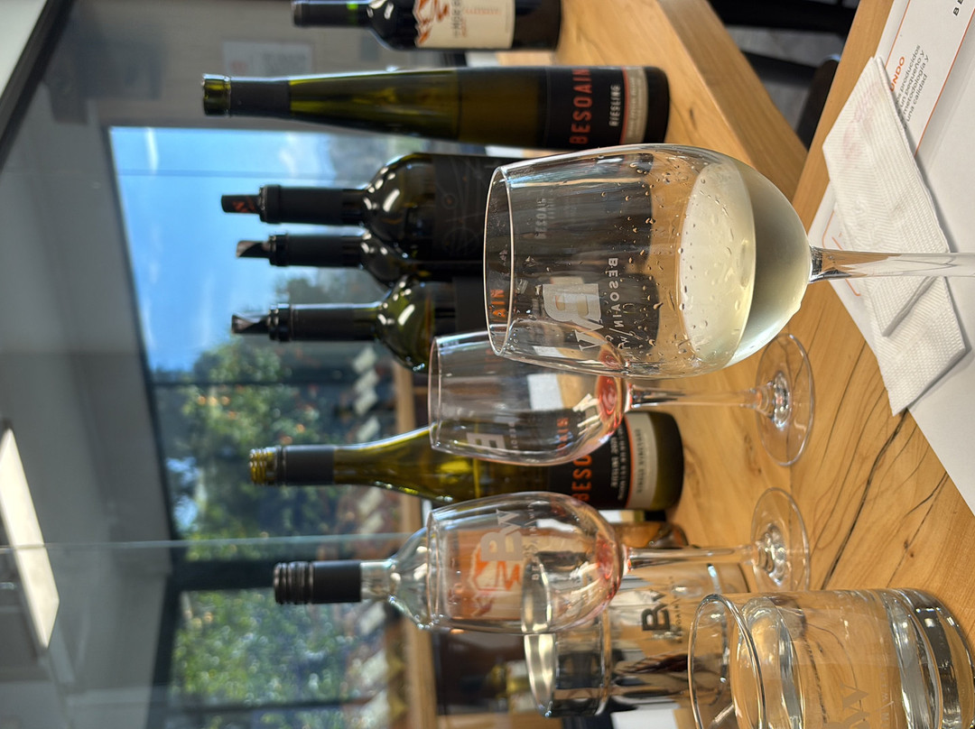 Besoain Wines-Pirque必去景点