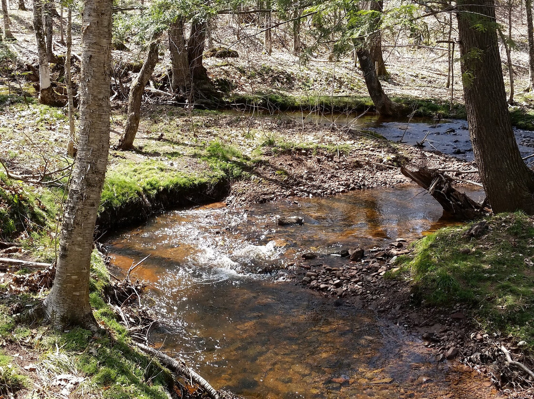 Porcupine Mountains Wilderness State Park-昂托纳贡必去景点