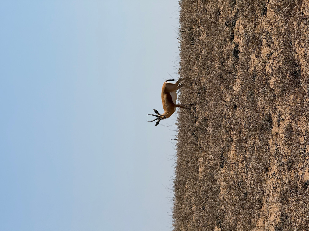 Parc Nacional de Souss-Massa-Takate必去景点