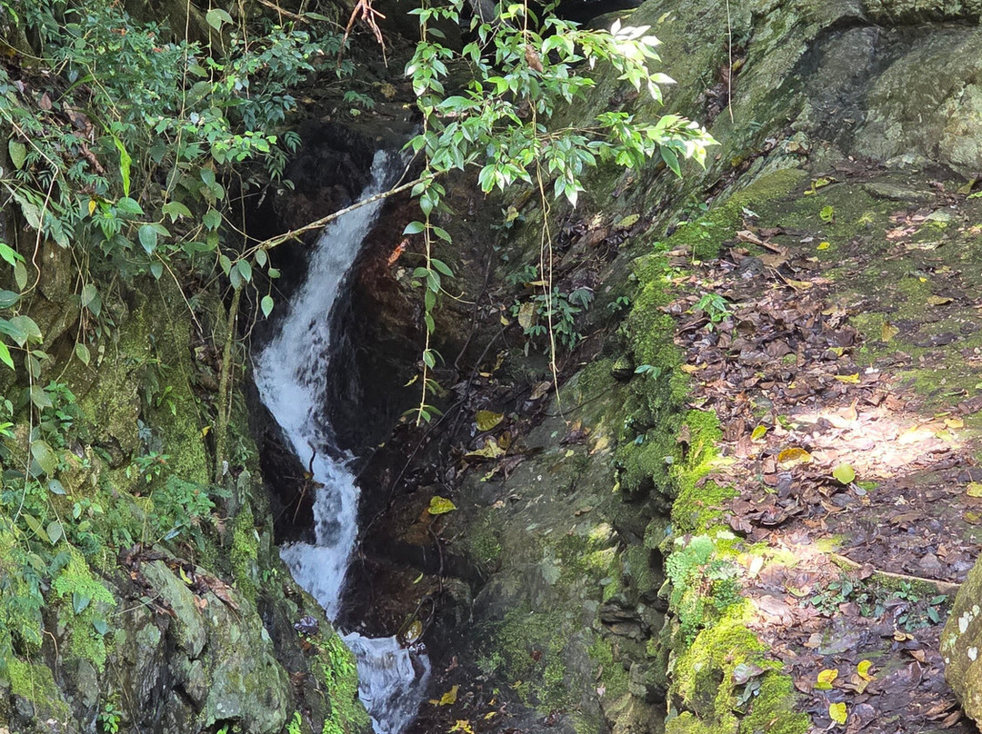 Crystal Cascades-Redlynch必去景点
