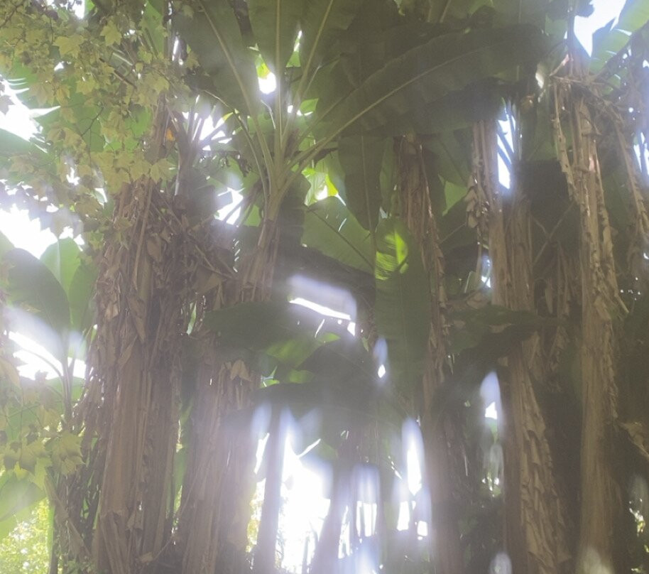 Jungle Canoë-La Bastide Clairence必去景点