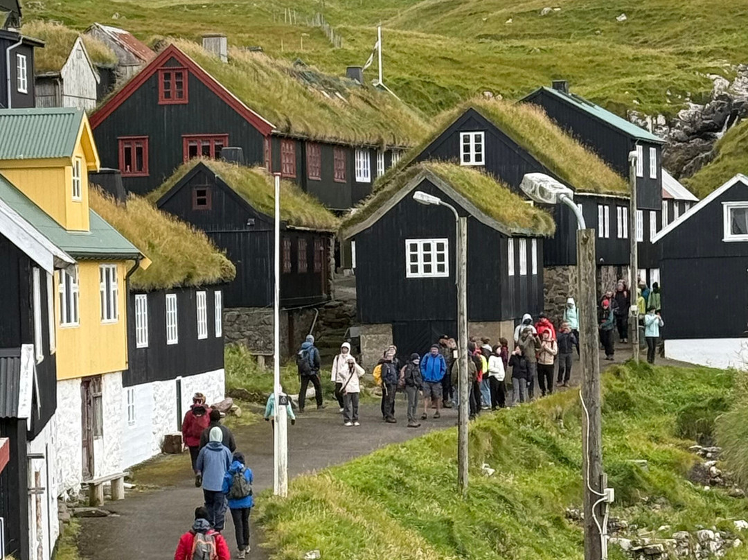 Isleborn Tours-Vestmanna必去景点