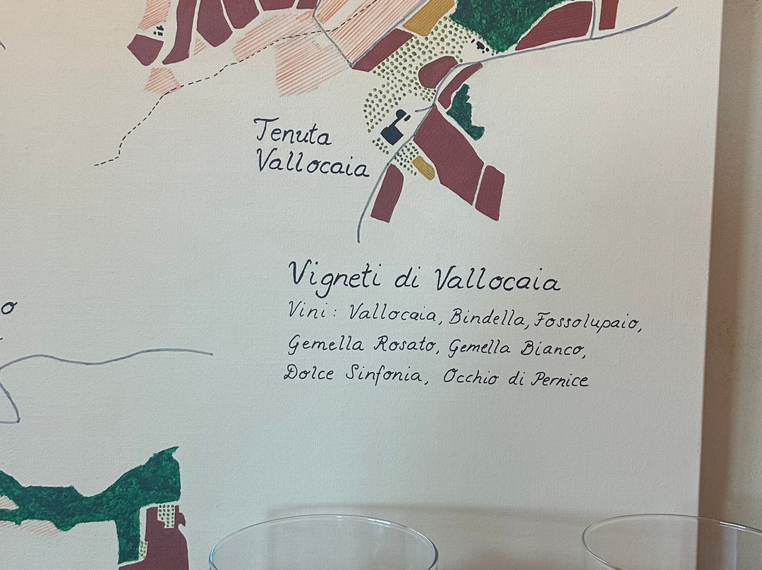 BINDELLA tenuta Vallocaia-蒙特普尔恰诺必去景点
