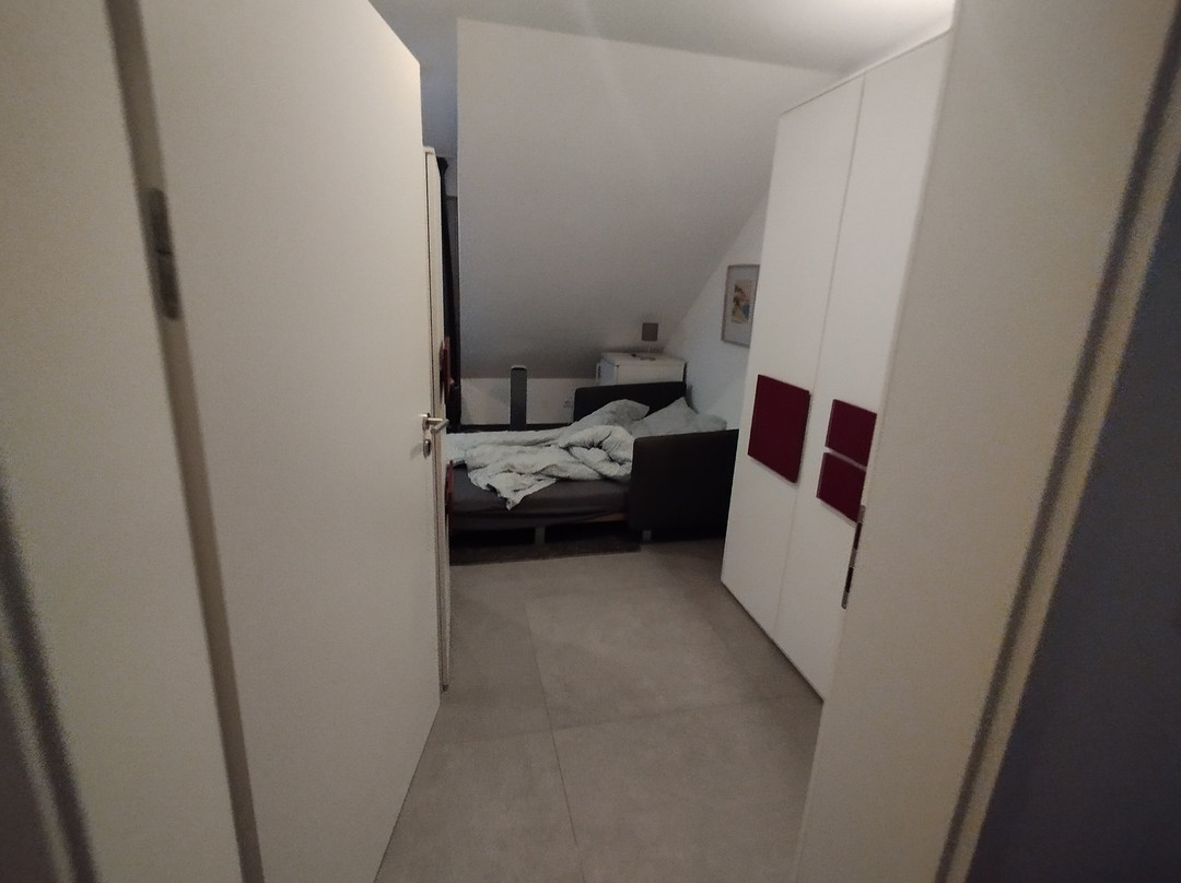 巴尔塔萨诺伊曼旅馆主图