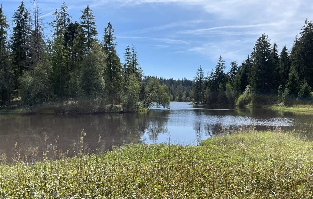 Etang de la Gruère-Saignelégier必去景点