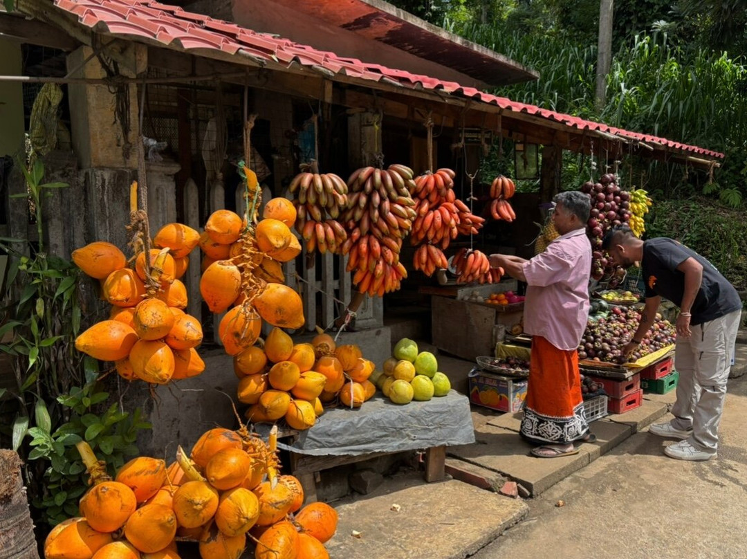 Compass Lanka Tours-Yakkala必去景点