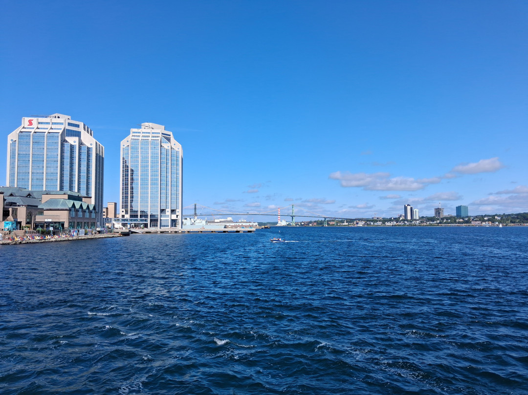 Halifax Harbour Ferry-哈利法克斯必去景点
