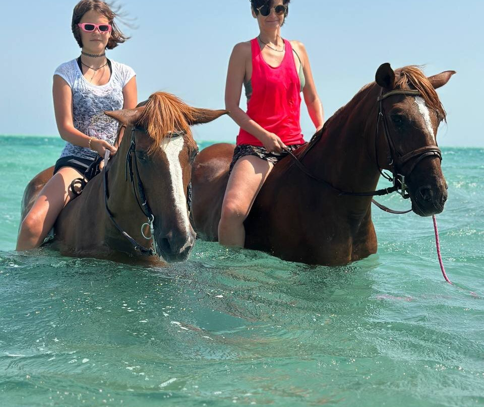 Horse Trips Iryna-赫尔格达必去景点