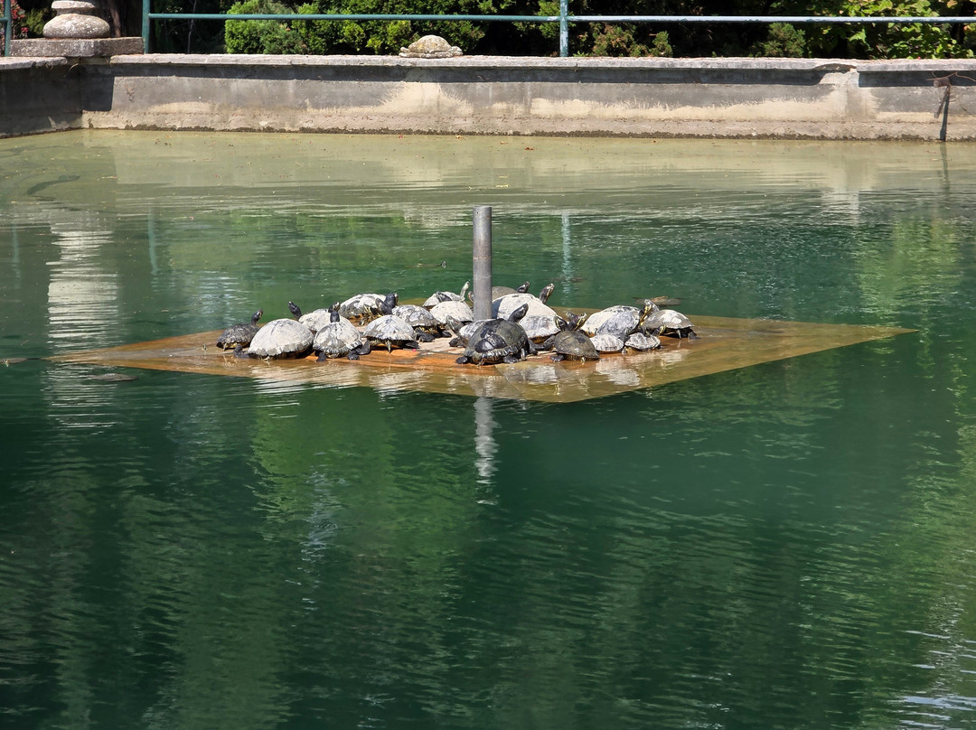 Parco Giardino Sigurtà-明乔河畔瓦莱焦必去景点