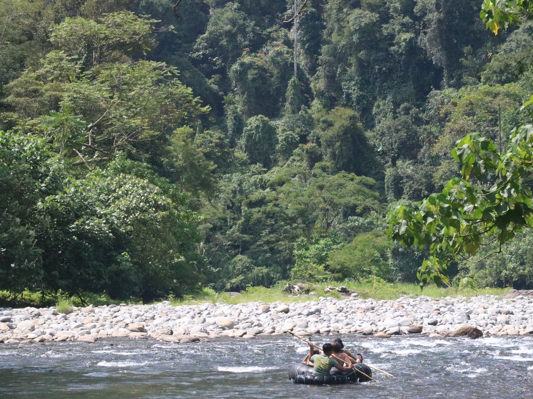 Ethical Trekking Sumatra-武吉拉旺必去景点