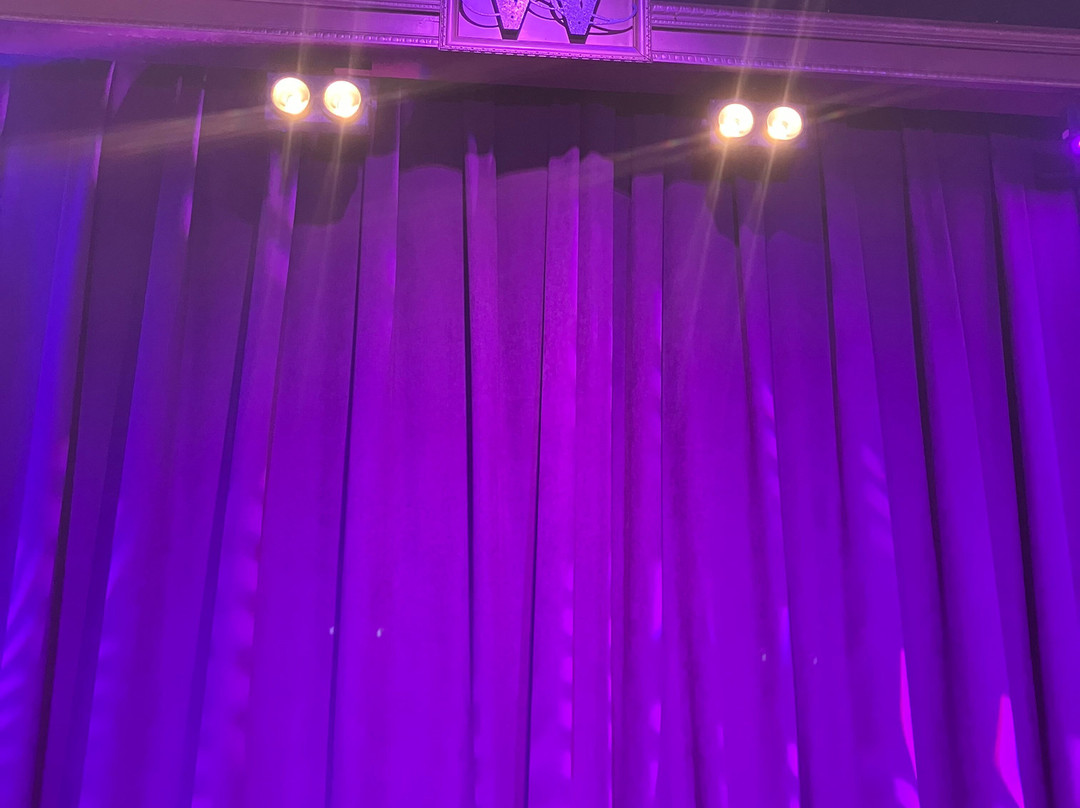 The Wagsters Magic Theatre-威廉斯堡必去景点