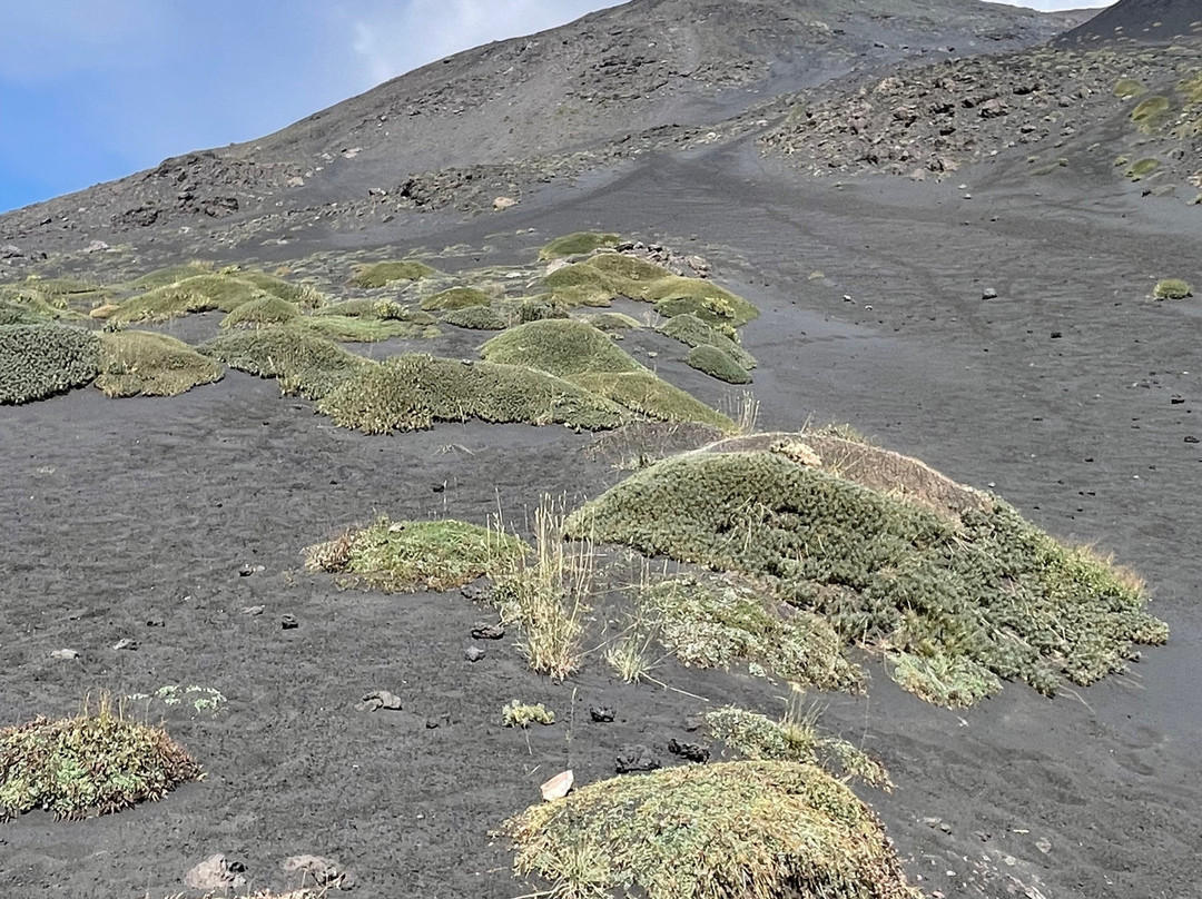 Craters Silvestri of Mount Etna-尼科洛西必去景点