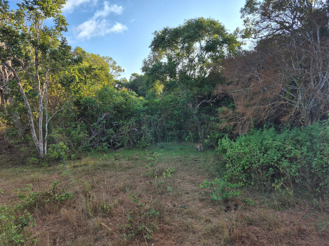 Thamaravila Wilpattu Luxury Tented Safari Villas主图