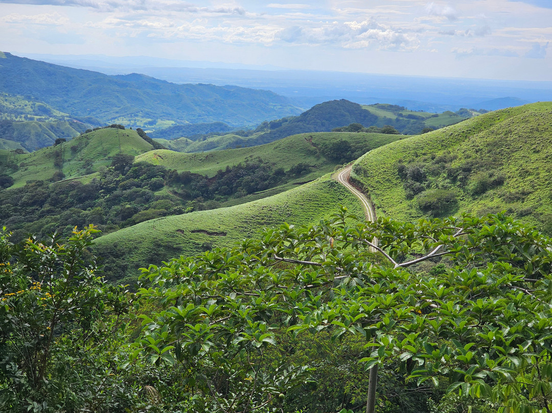 Manakin Waterfalls Nature Reserve.-Tilaran必去景点