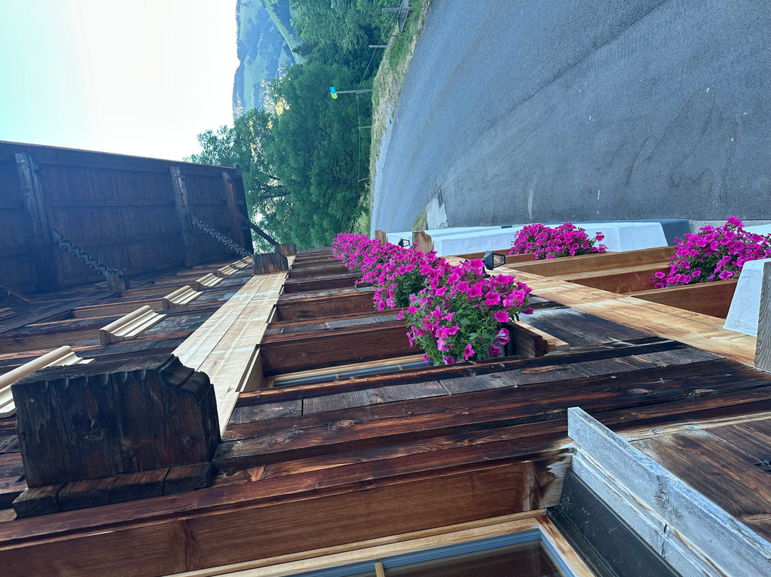 Berghotel Zur Sau主图