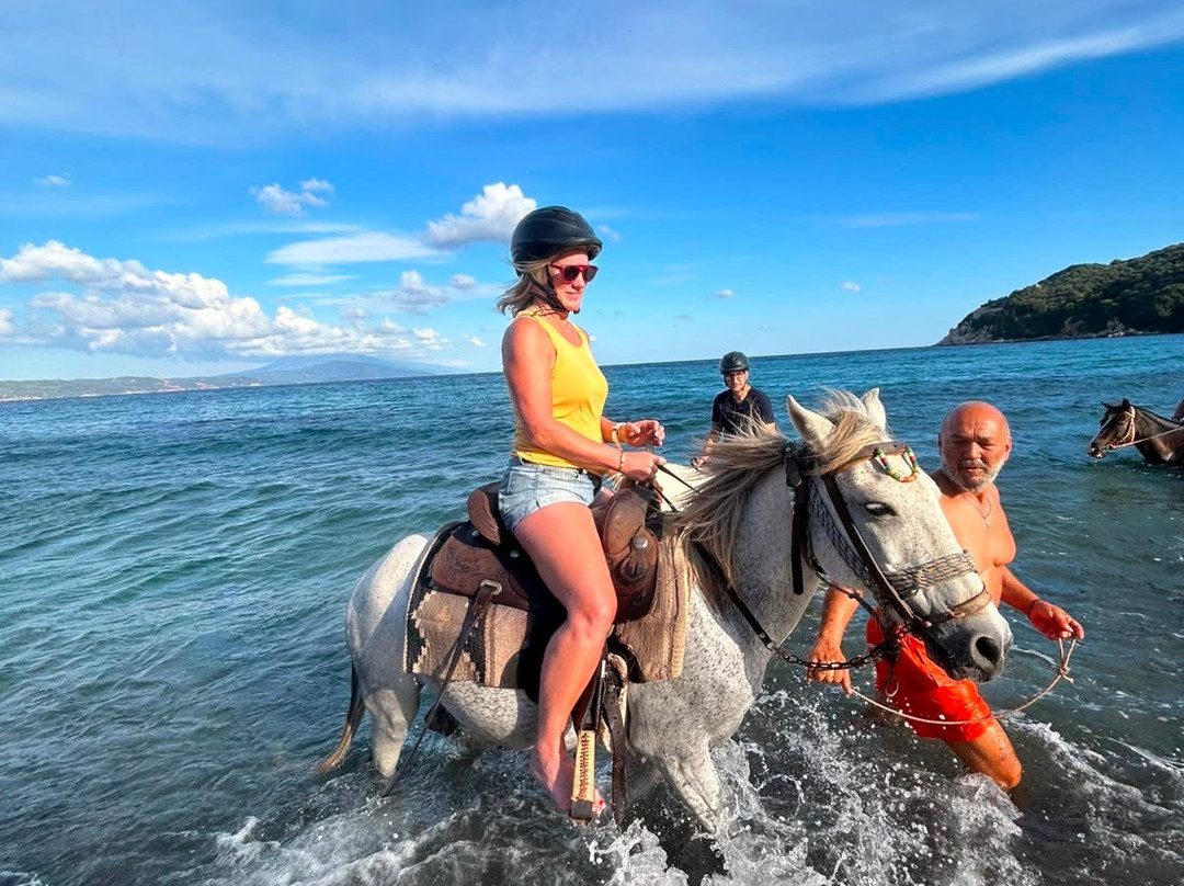 Skiathos Riding Centre-斯亚索斯必去景点