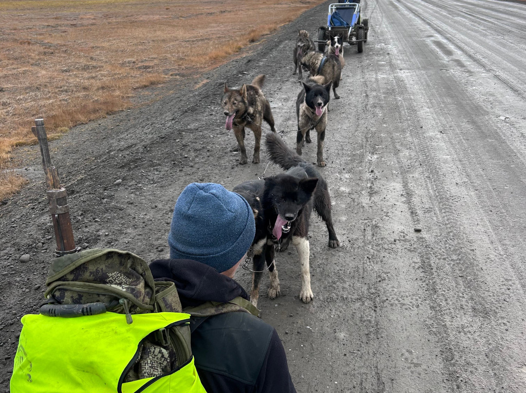 Green Dog Svalbard-朗伊尔城必去景点