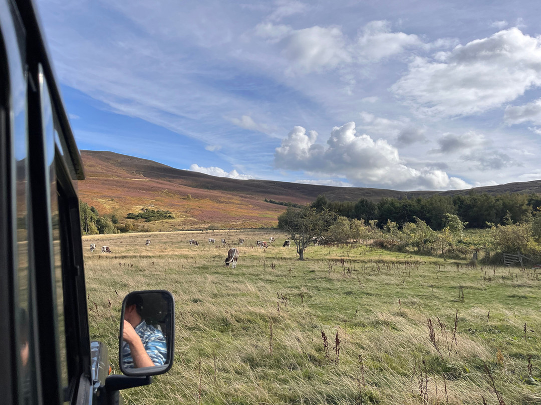 Hepple Wilds Estate-Rothbury必去景点