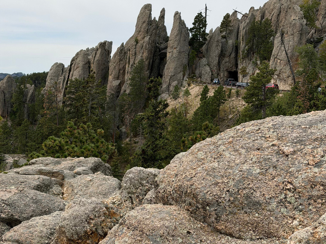 Needles Highway-卡斯特必去景点