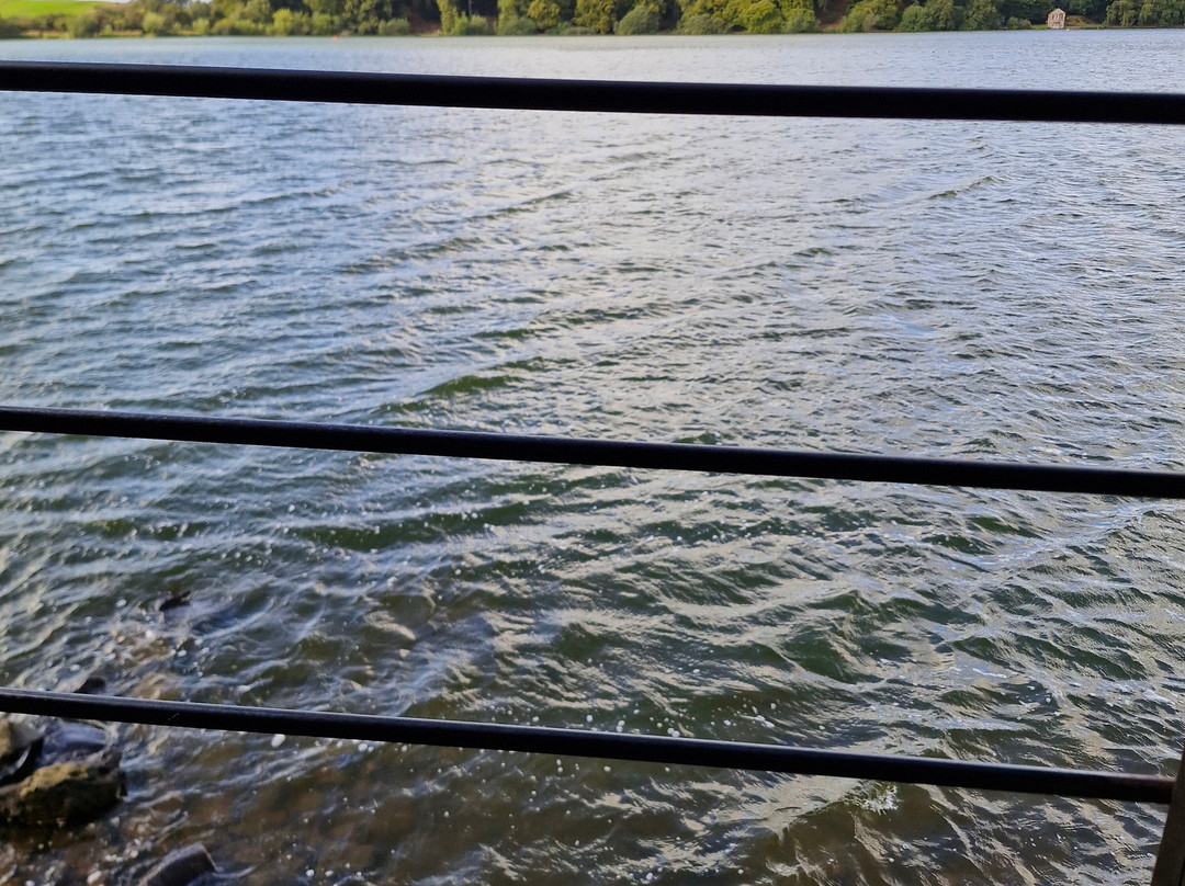 Talkin Tarn Park-卡莱尔必去景点