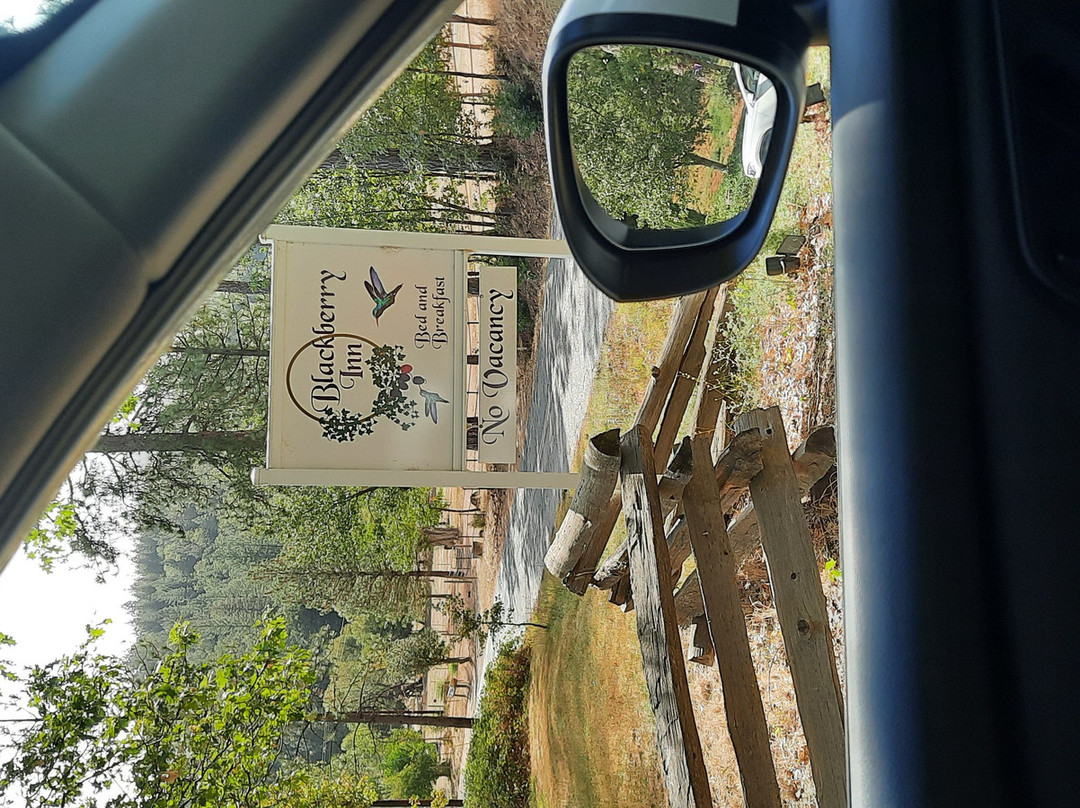 Blackberry Inn at Yosemite主图