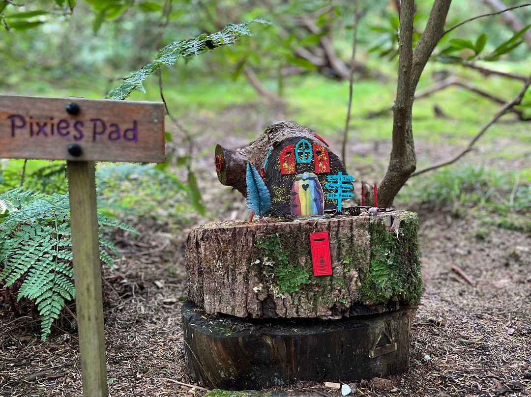 Ardkinglas Woodland Garden-Cairndow必去景点