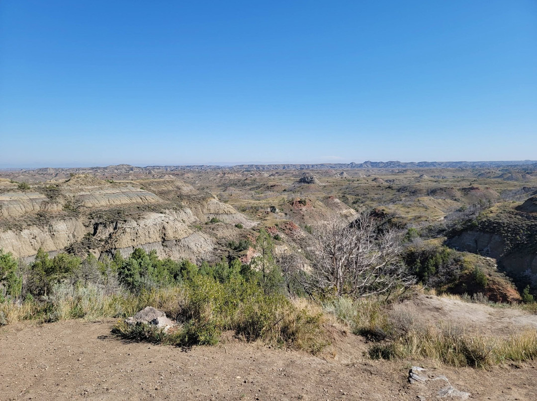 Theodore Roosevelt National Park-Medora必去景点