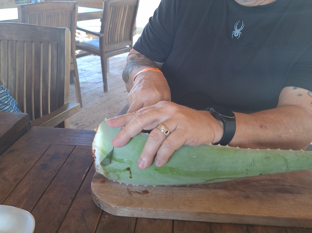 Curaçao Aloe Vera Farm-威廉斯塔德必去景点