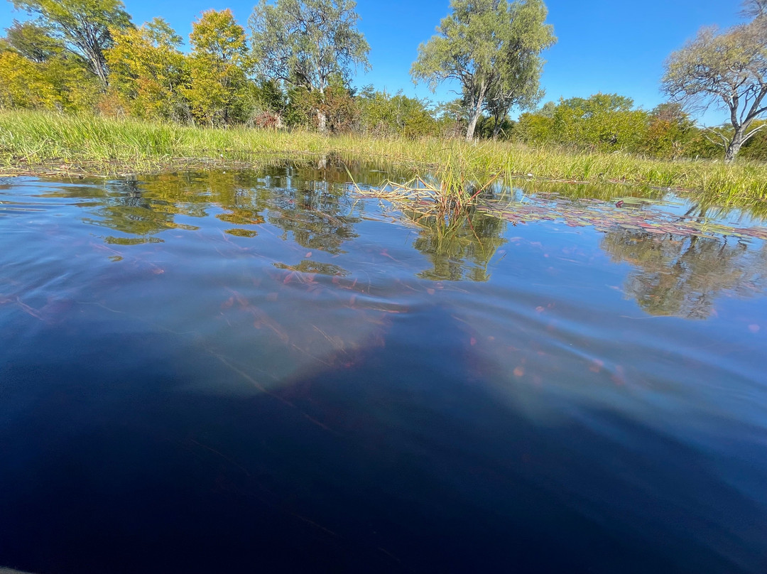 Okavango River-马翁必去景点