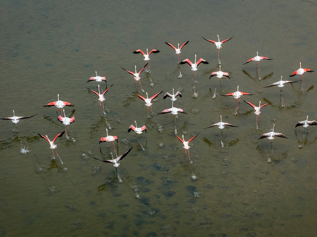 Iona National Park-Namibe必去景点