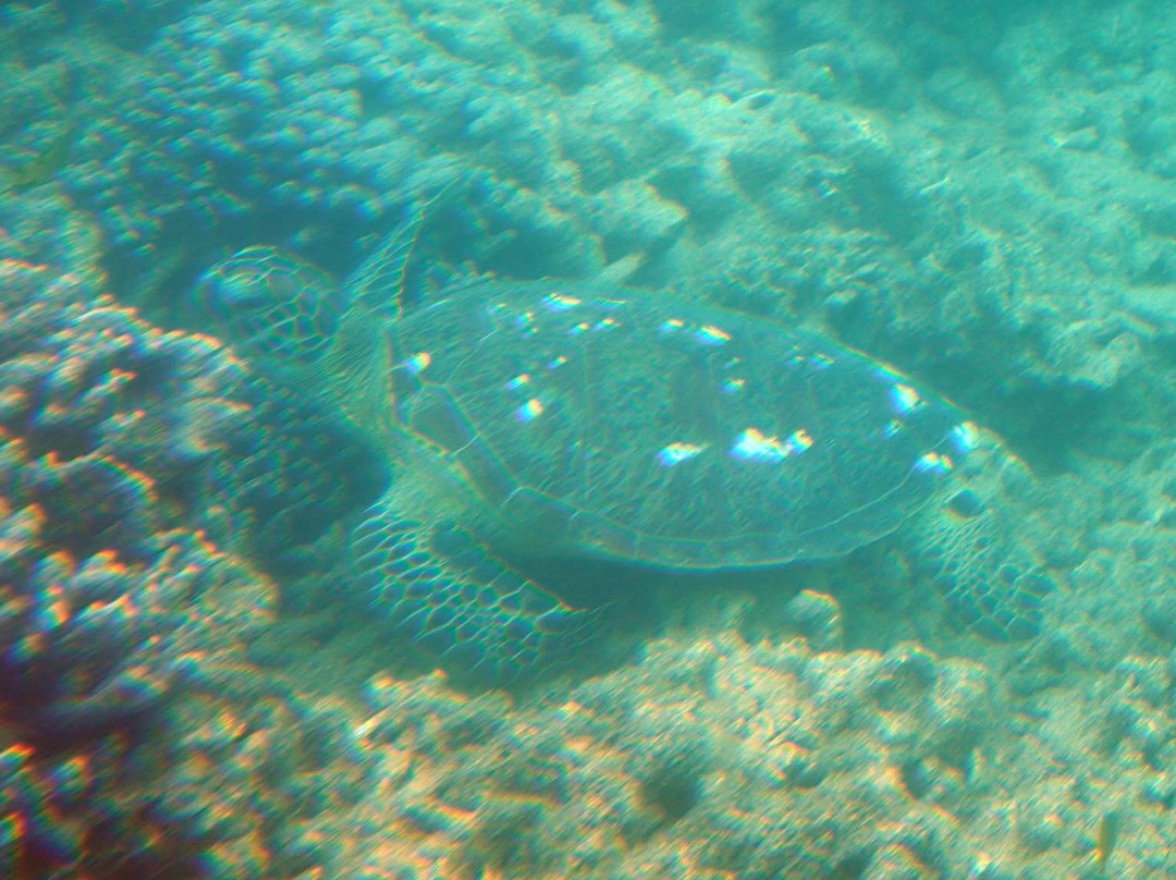View Ningaloo-埃克斯茅斯必去景点