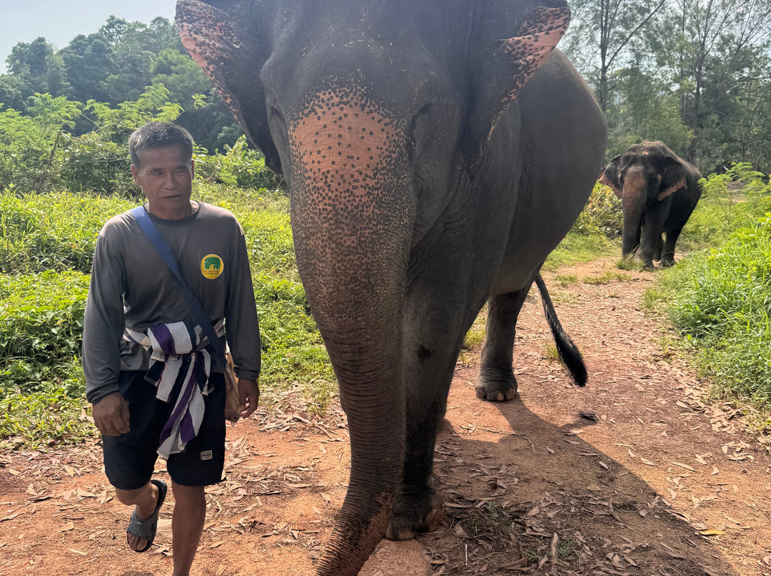 The Lake Phuket Elephant Home-Thep Krasatti必去景点