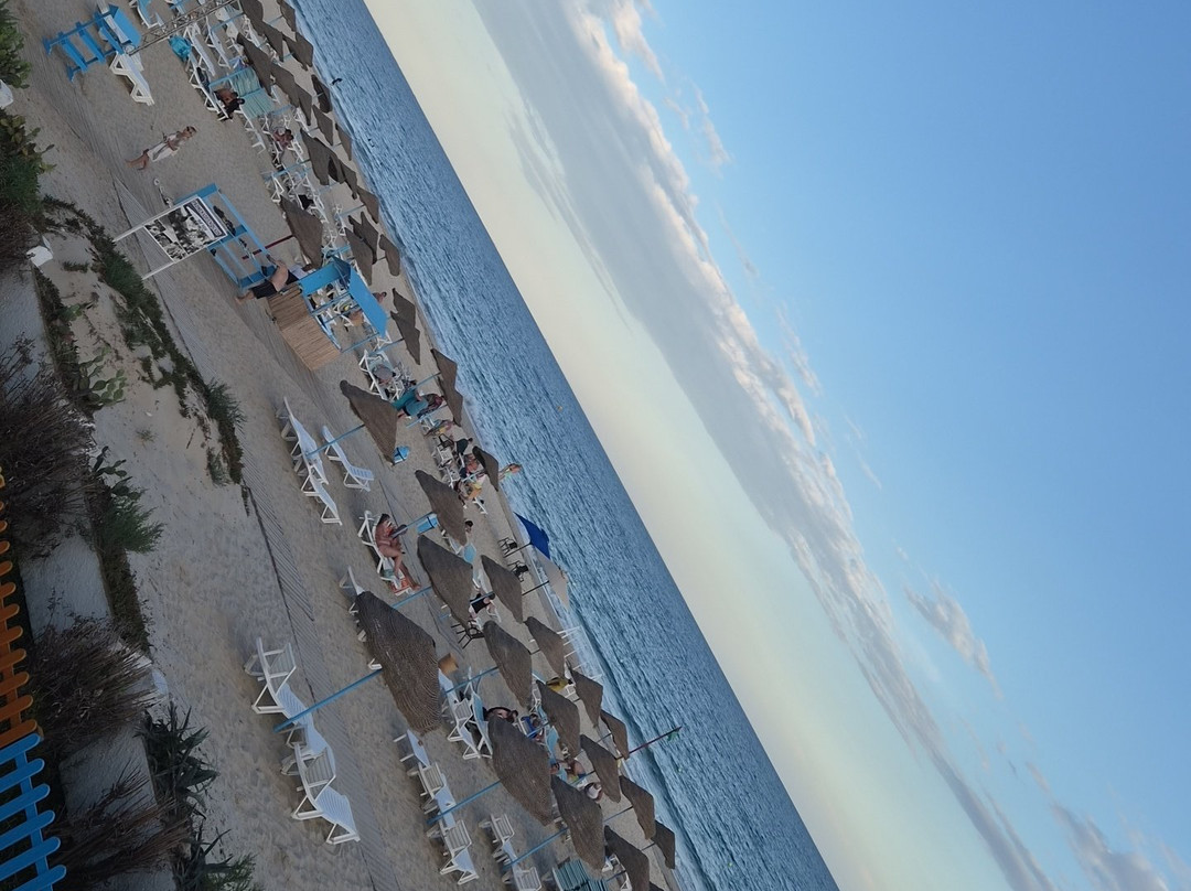 Hammamet Beach-哈玛麦德必去景点