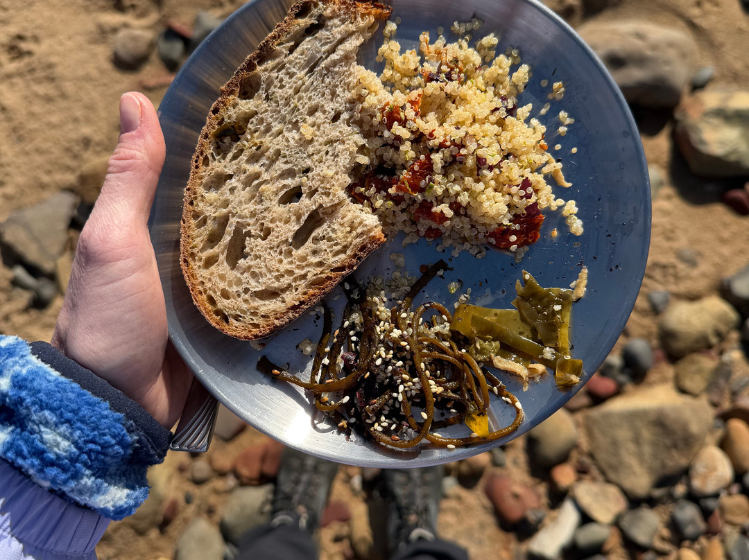 East Neuk Seaweed-St Monans必去景点