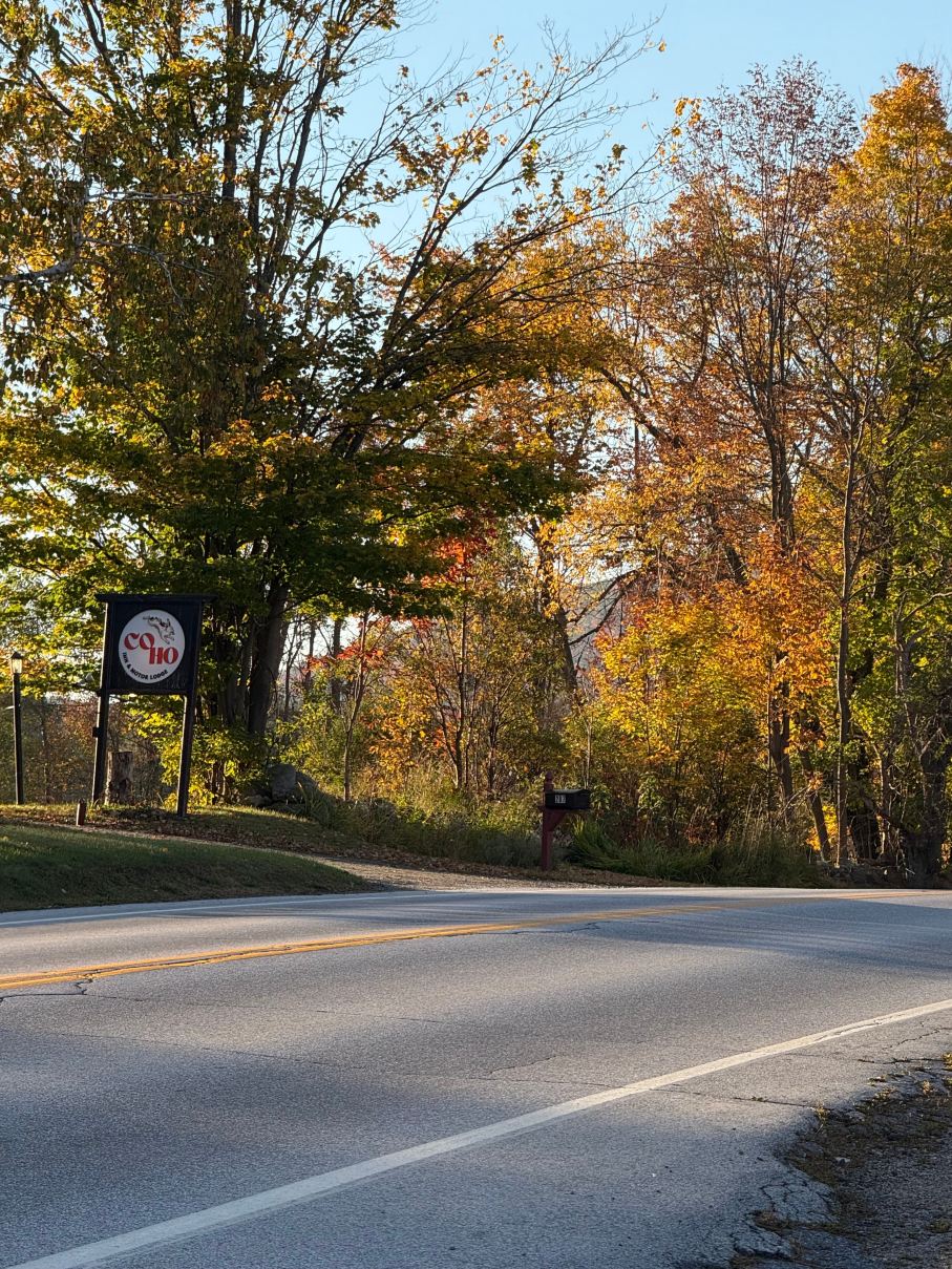 Coho Inn & Motor Lodge-旅行者