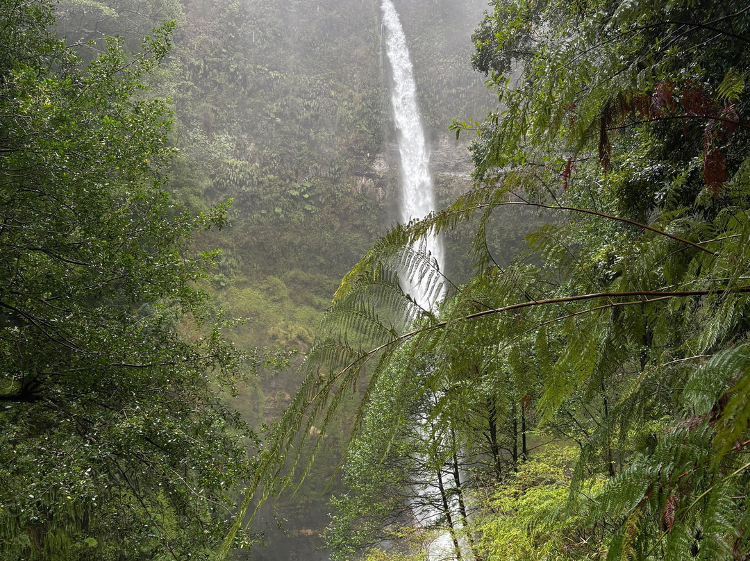Parque Salto del Claro-普孔必去景点