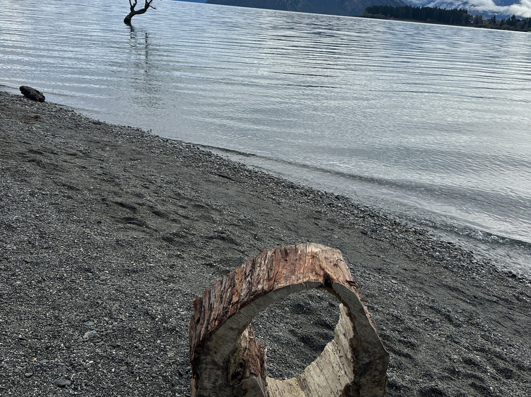 That Wanaka Tree-瓦纳卡必去景点