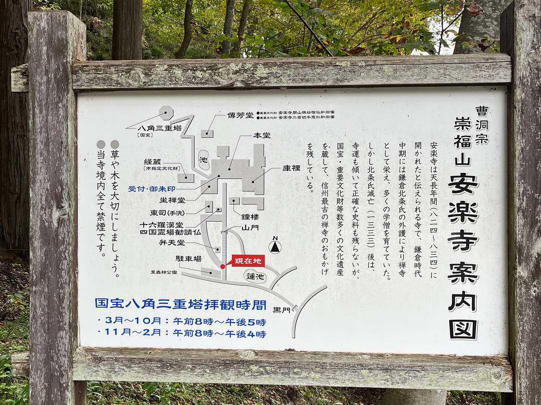 Anrakuji Temple-上田市必去景点