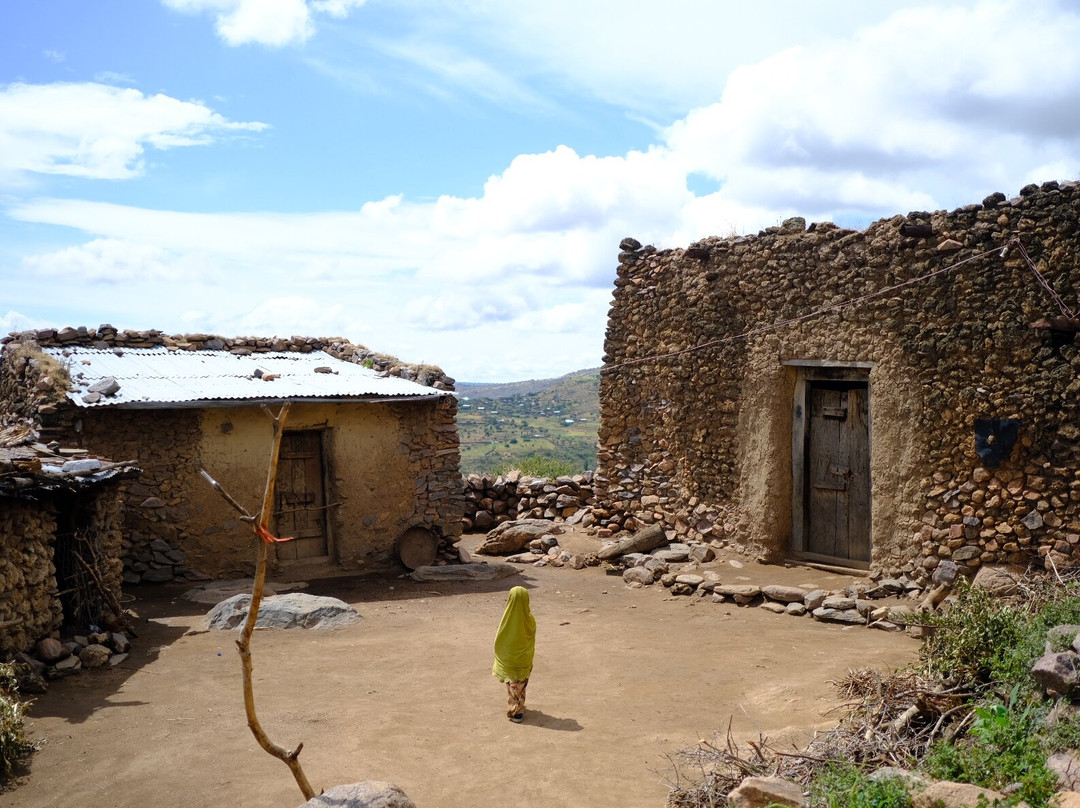 Edom Harar Tours & Car Rentals-哈勒尔必去景点