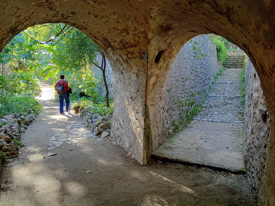 Jardin des Plantes de Montpellier-蒙彼利埃必去景点