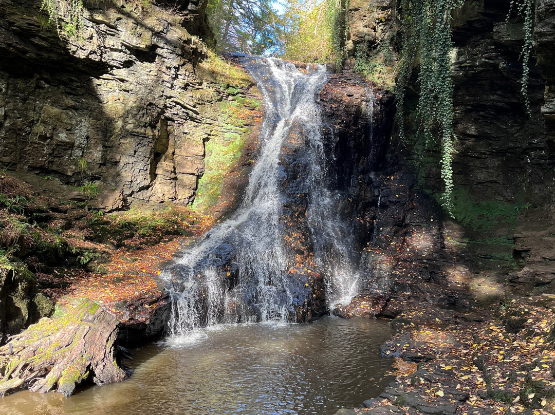 Hareshaw Linn Walk-Bellingham必去景点
