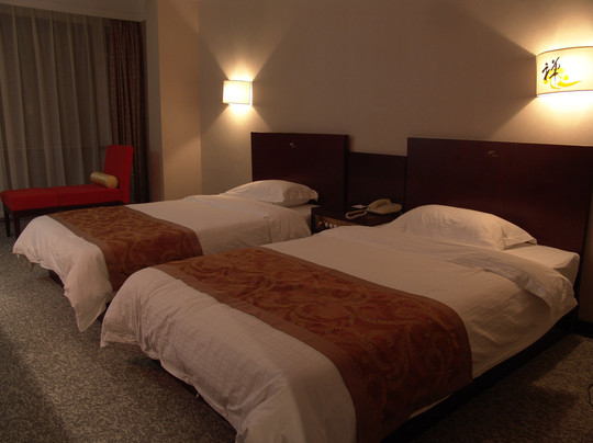 禅居国际饭店主图