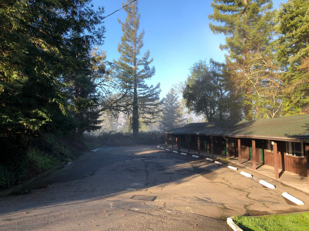 Sherwood Forest Motel