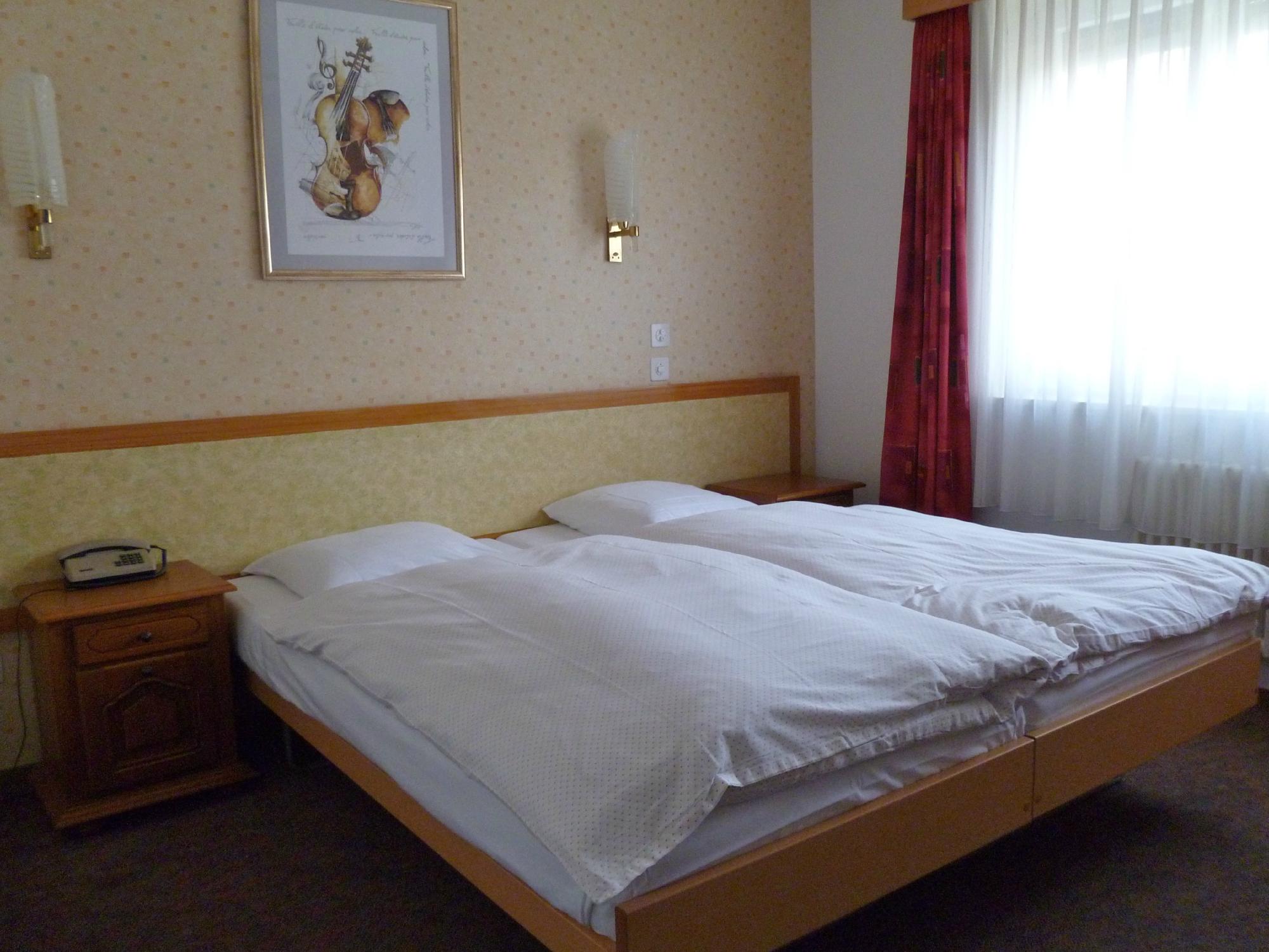 Hotel Alpes & Rhone-客卧