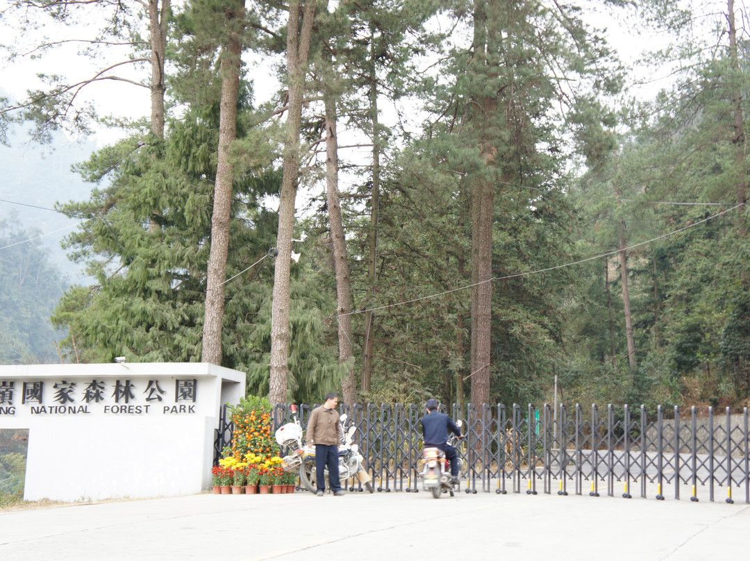 南岭国家森林公园