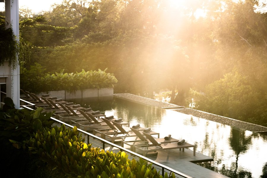 Treeline Urban Resort-官方